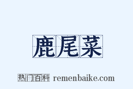 鹿尾菜是什么意思的图片